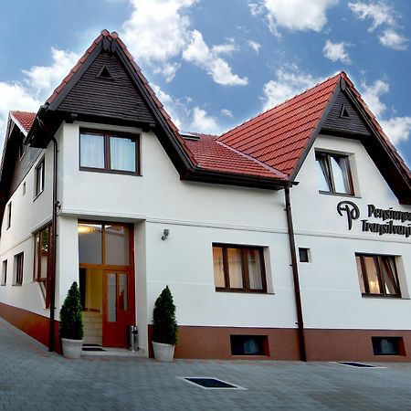 Pensiunea Transilvania Sibiu Exterior photo